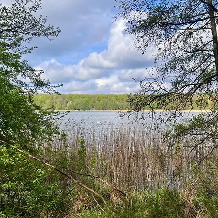 דירה Apartamenty Swarzedz *