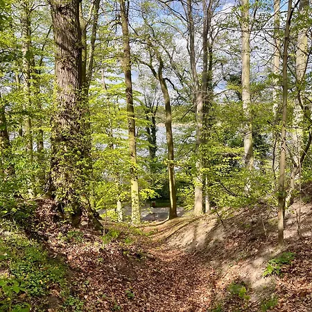 Apartamenty Swarzedz