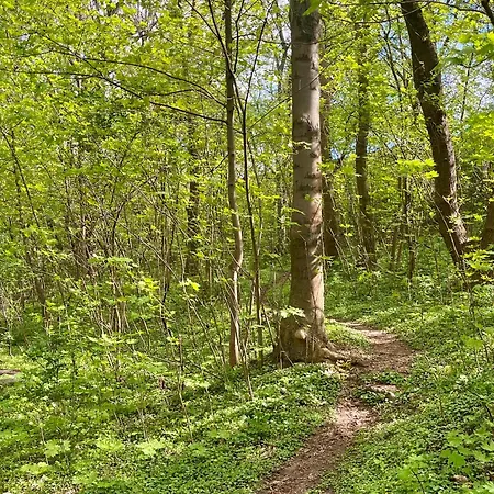 Appartamento Apartamenty Swarzedz *