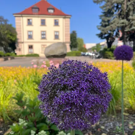 Appartamento Apartamenty Swarzedz Swarzędz