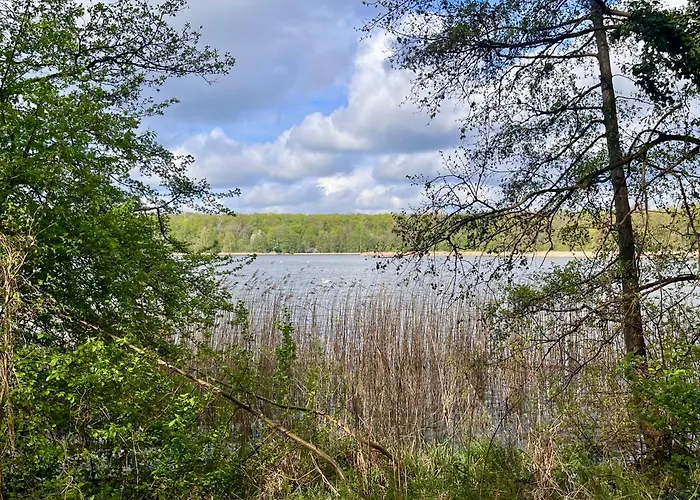 Apartment Apartamenty Swarzedz *