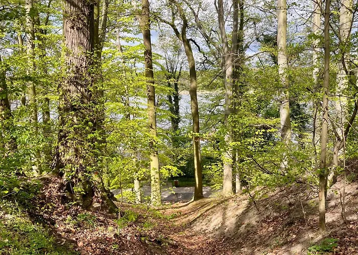 Apartamenty Swarzedz