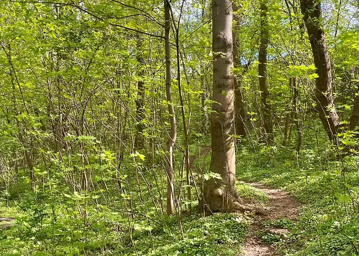 דירה Apartamenty Swarzedz *