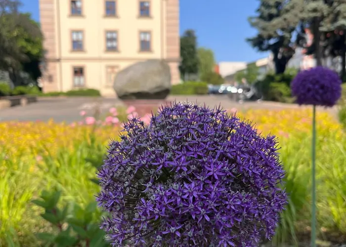 דירה Apartamenty Swarzedz סווראוץ'